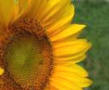 benessere cure naturali
