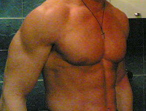 fitness palestre